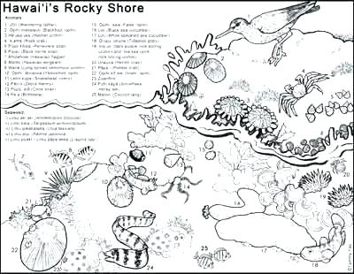 Island Coloring Page Pics Tropical Island Coloring Page A Free 400x310 Island Coloring Page Pics Tropical Island Coloring Page A Free