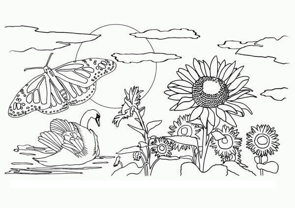 Beautiful View Of Nature Coloring Page Color Luna 600x424 Beautiful View Of Nature Coloring Page Color Luna