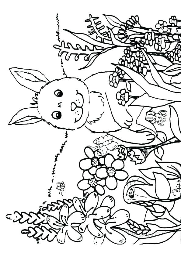 Nature Coloring Pages For Kids Deepart 595x842 Nature Coloring Pages For Kids Deepart