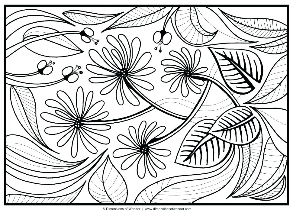 970x705 Flowers Coloring Book Beautiful Pictures From The Garden Of Nature
