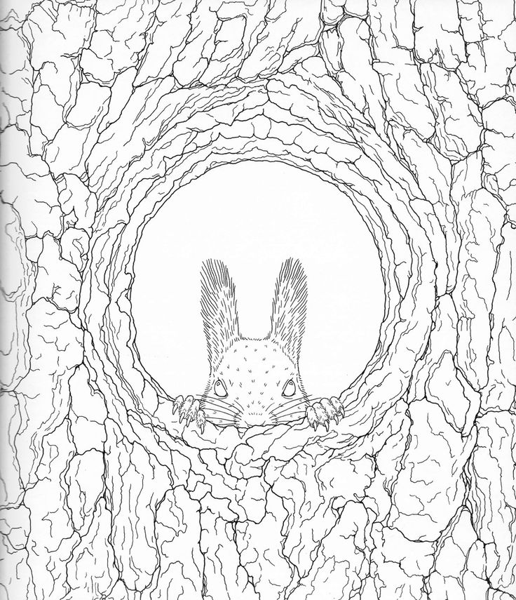 736x855 49 Best Coloring Pages To Print