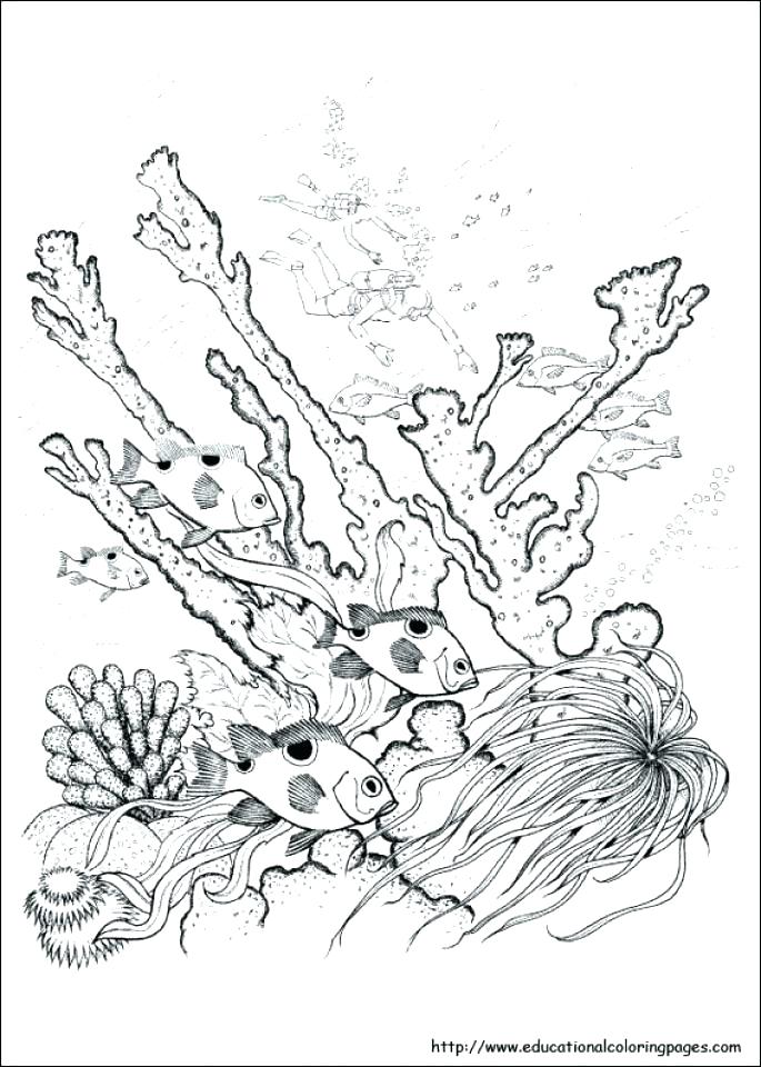 685x960 Nature Coloring Pages For Adults Plus Medium Size Of Nature