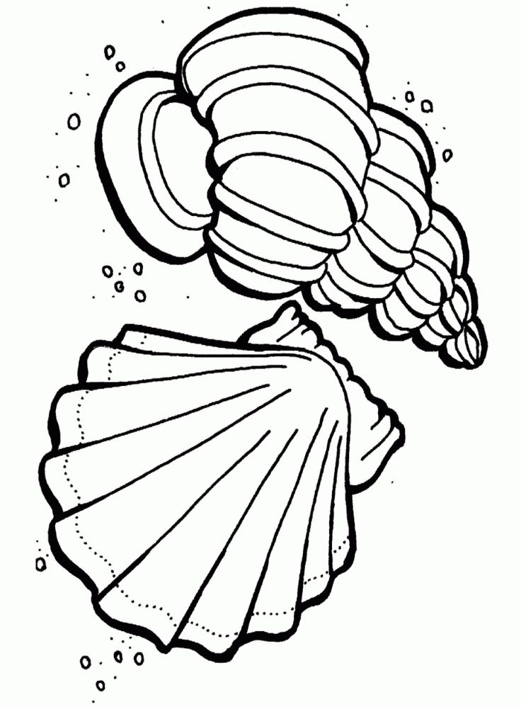 88 Best Nature Coloring Pages Images On Ocean Coloring 736x998 88 Best Nature Coloring Pages Images On Ocean Coloring