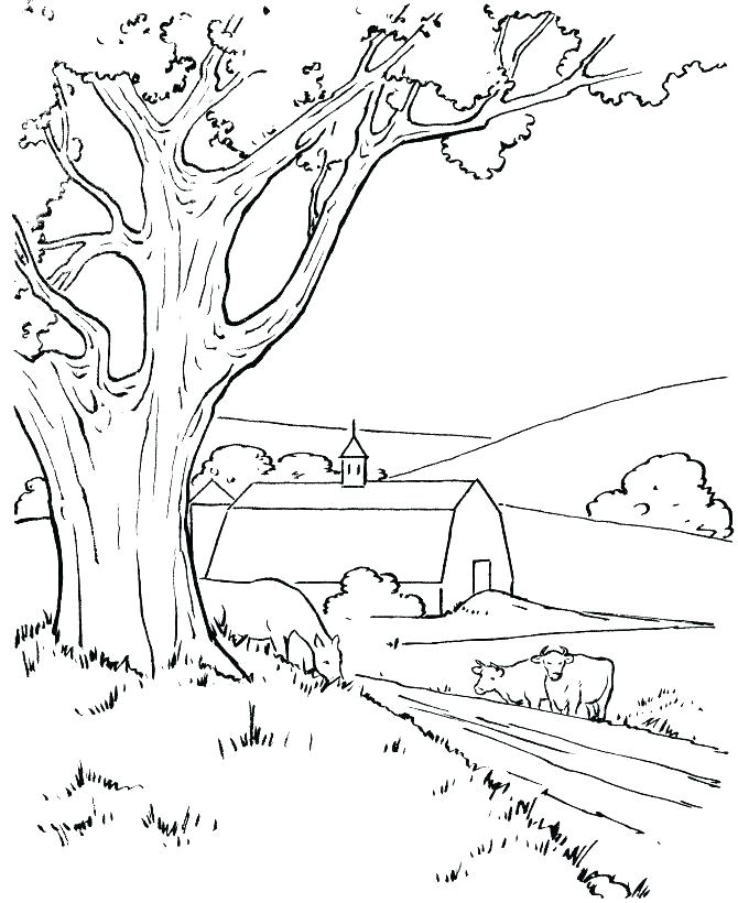 Nature Coloring Pages Nature Coloring Books Also Coloring Pages 670x820 Nature Coloring Pages Nature Coloring Books Also Coloring Pages