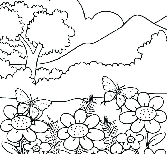 Nature Coloring Pages Nature Coloring Books As Well As Beautiful 650x600 Nature Coloring Pages Nature Coloring Books As Well As Beautiful