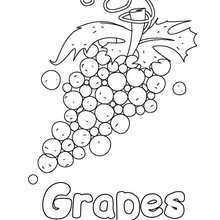 Fruit Coloring Pages 220x220 Fruit Coloring Pages