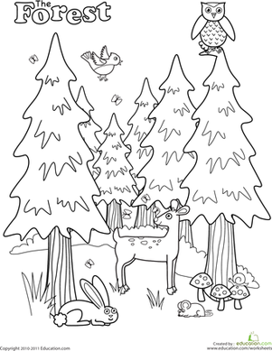 Forest Coloring Page Worksheets, Pre School And Animal 301x389 Forest Coloring Page Worksheets, Pre School And Animal