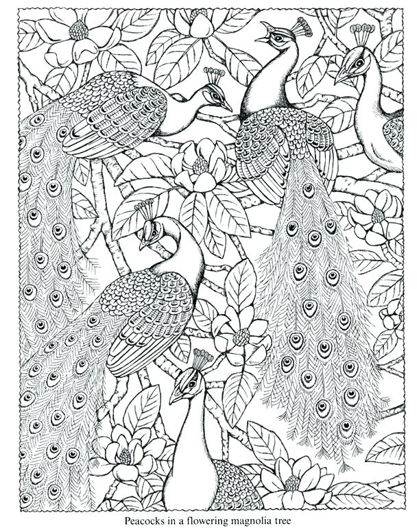 Mountain Coloring Page Nature Coloring Pages Mountain Landscape 608x770 Mountain Coloring Page Nature Coloring Pages Mountain Landscape