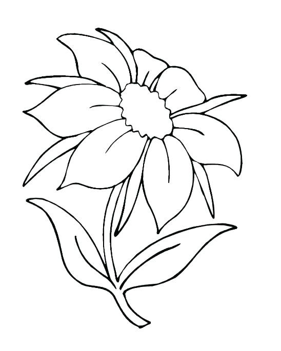 Nature Coloring Page 5 Senses Coloring Page Outdoor Coloring Pages 548x685 Nature Coloring Page 5 Senses Coloring Page Outdoor Coloring Pages