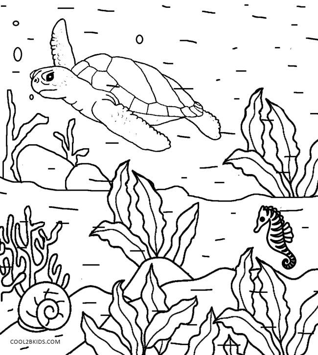 Printable Nature Coloring Pages For Kids Cool2bkids 650x726 Printable Nature Coloring Pages For Kids Cool2bkids