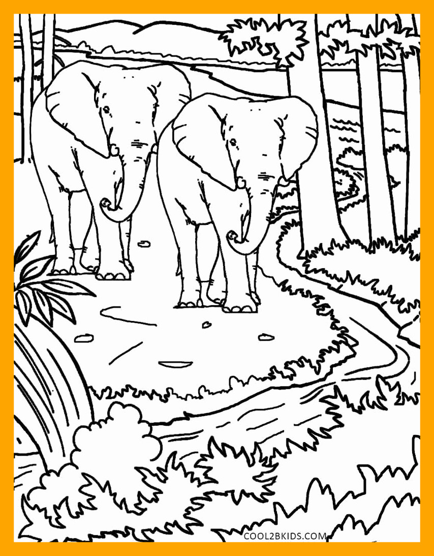 Fascinating Nature Coloring Pages Pics Printable For Kids Image 854x1093 Fascinating Nature Coloring Pages Pics Printable For Kids Image