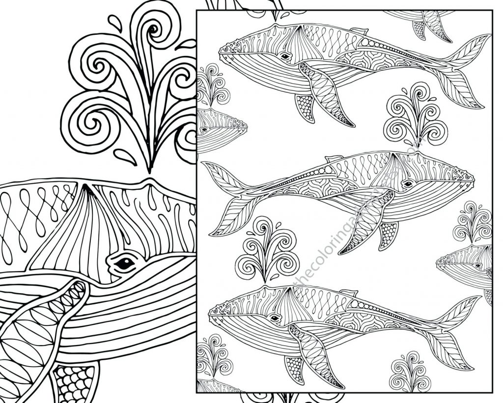 1024x821 Coloring Page ~ Nautical Coloring Pages Printable Star Nautical