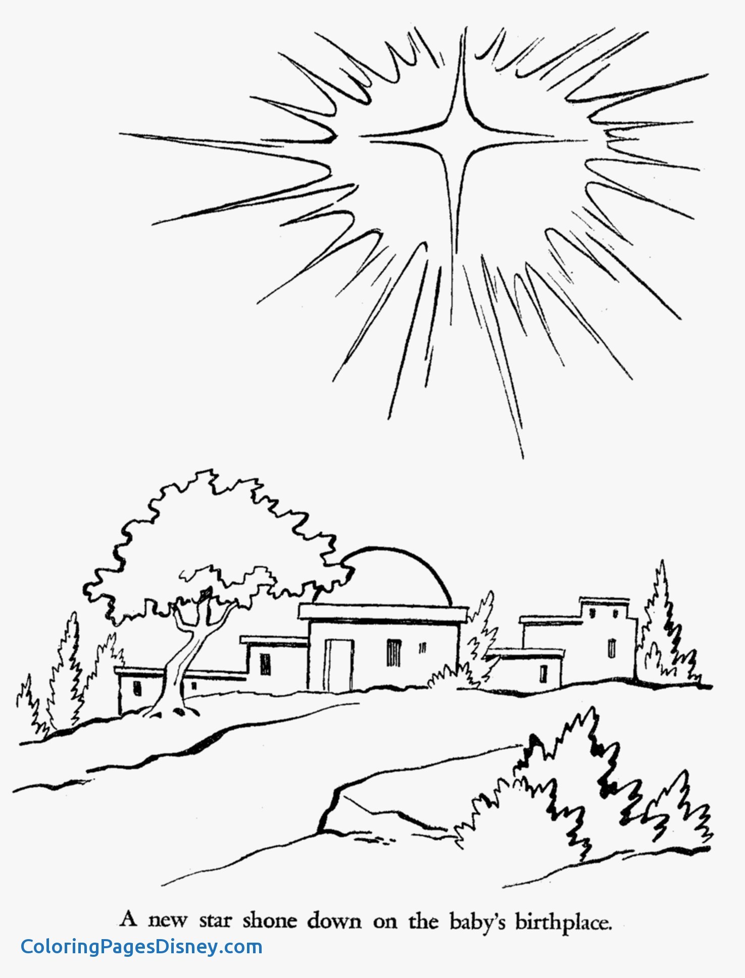 1475x1937 Quince Coloring Pages Lovely Bethlehem But I Think It Would Also
