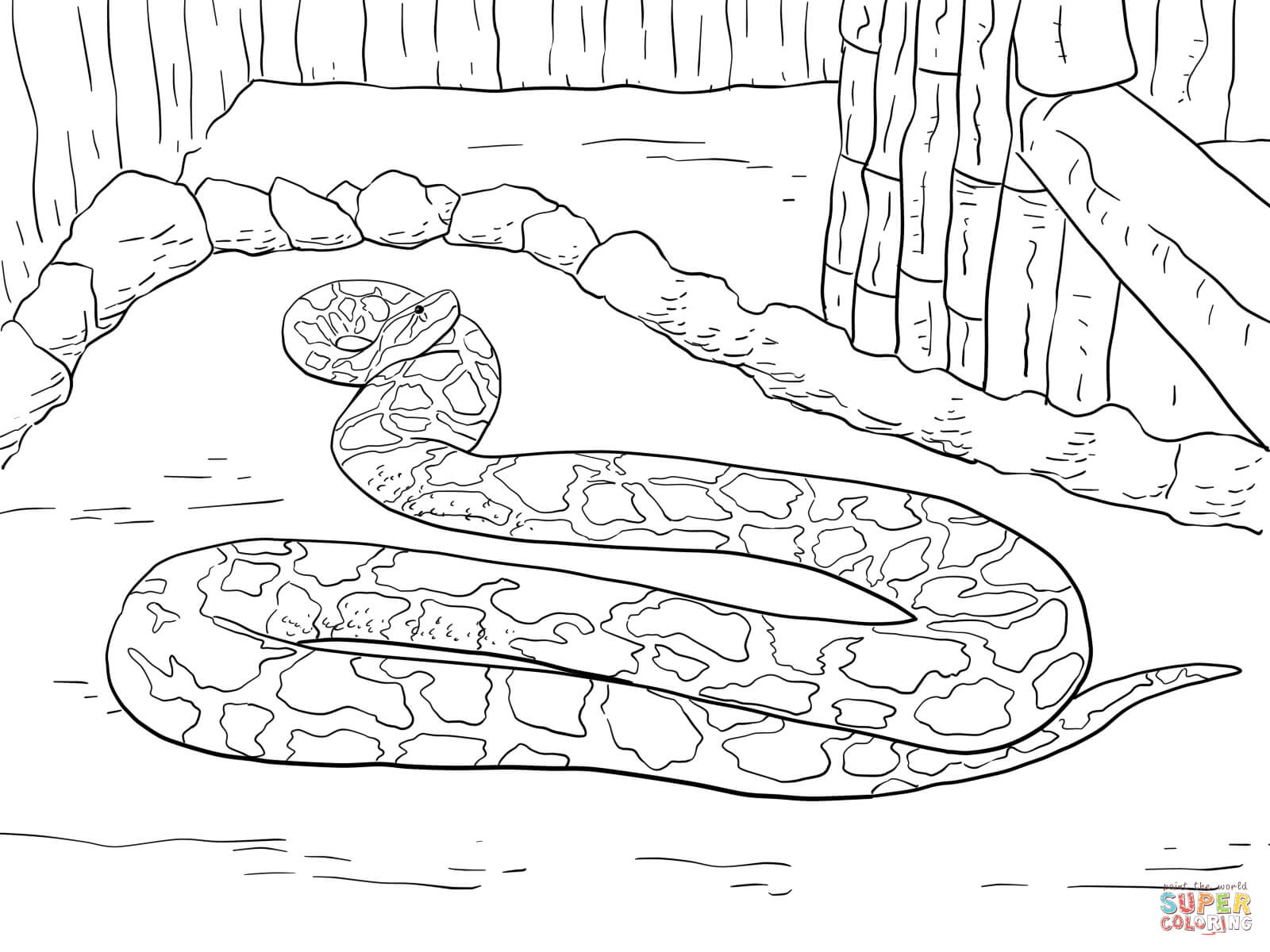 1600x1200 Lavishly Black Mamba Coloring Pages Racer Snake Page Free