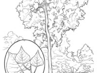 200x150 Nebraska State Flag Coloring Page New Nebraska State Symbol