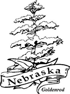 236x317 Nebraska State Quarter Coloring Page Usa State Quarters