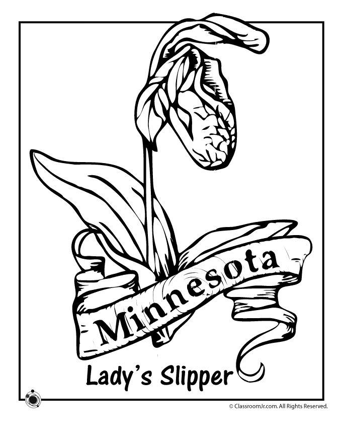 Coloring Nebraska Pages Husker Huskers Postcard Herbie Template Sketch ...
