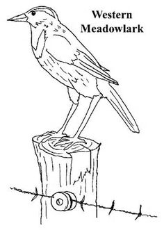 236x331 Tennis Wordsearch, Crossword Puzzle, And More