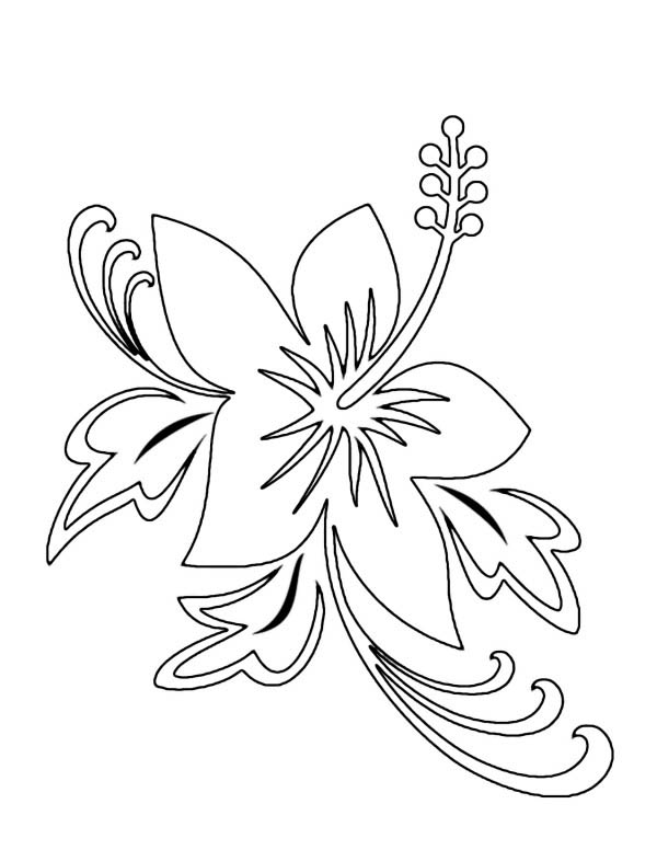 600x776 Beautiful Hawaii State Flower Hibiscus Flower Coloring Page