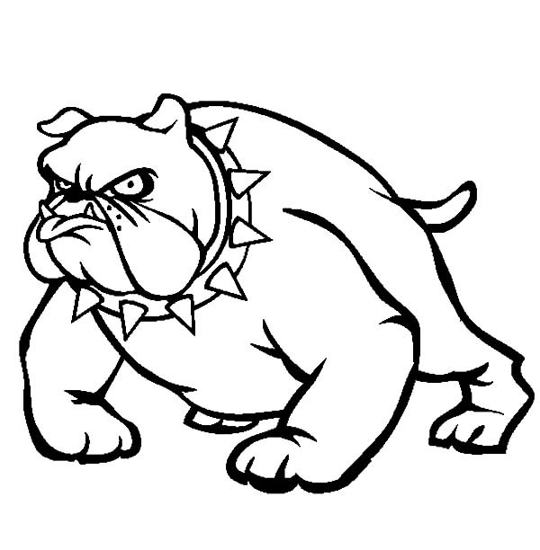 600x612 Bulldog Wearing Spikey Necklace Coloring Pages Best Place To Color