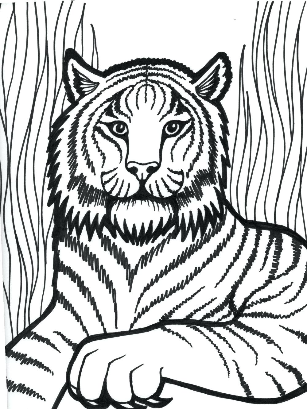 Coloring Pages ~ Daniel Tiger Coloring Pages Pictures Google 1000x1333 Coloring Pages ~ Daniel Tiger Coloring Pages Pictures Google