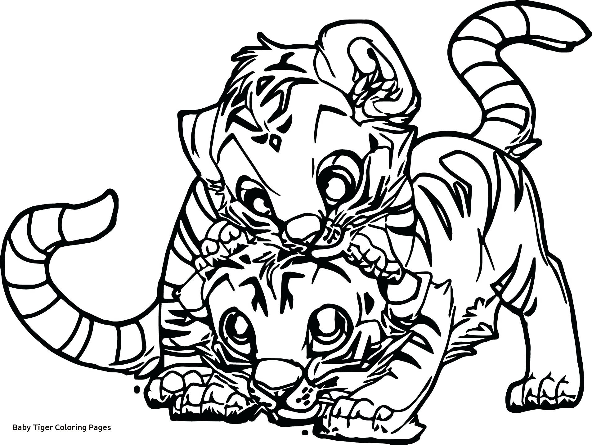 Baby Tigers Coloring Pages Acpra 1908x1434 Baby Tigers Coloring Pages Acpra