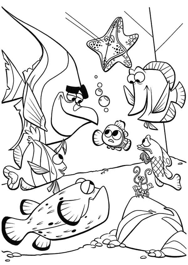 Finding Nemo Coloring Pages 600x843 Finding Nemo Coloring Pages