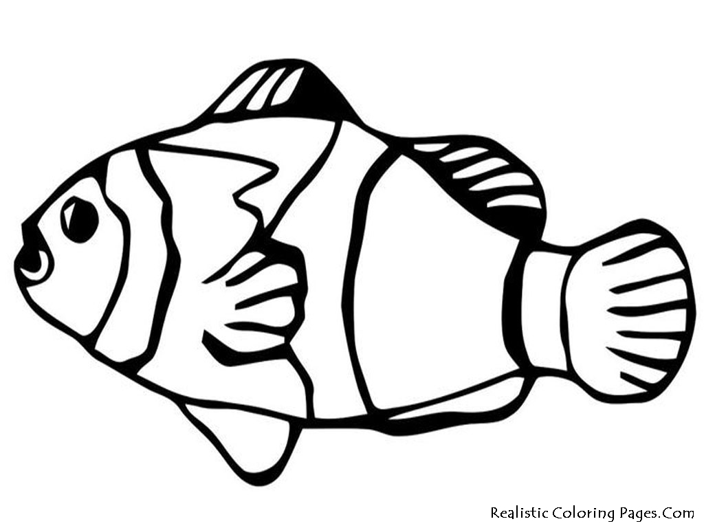 Fish Coloring Pages Printable Nemo Reaic 1024x768 Fish Coloring Pages Printable Nemo Reaic