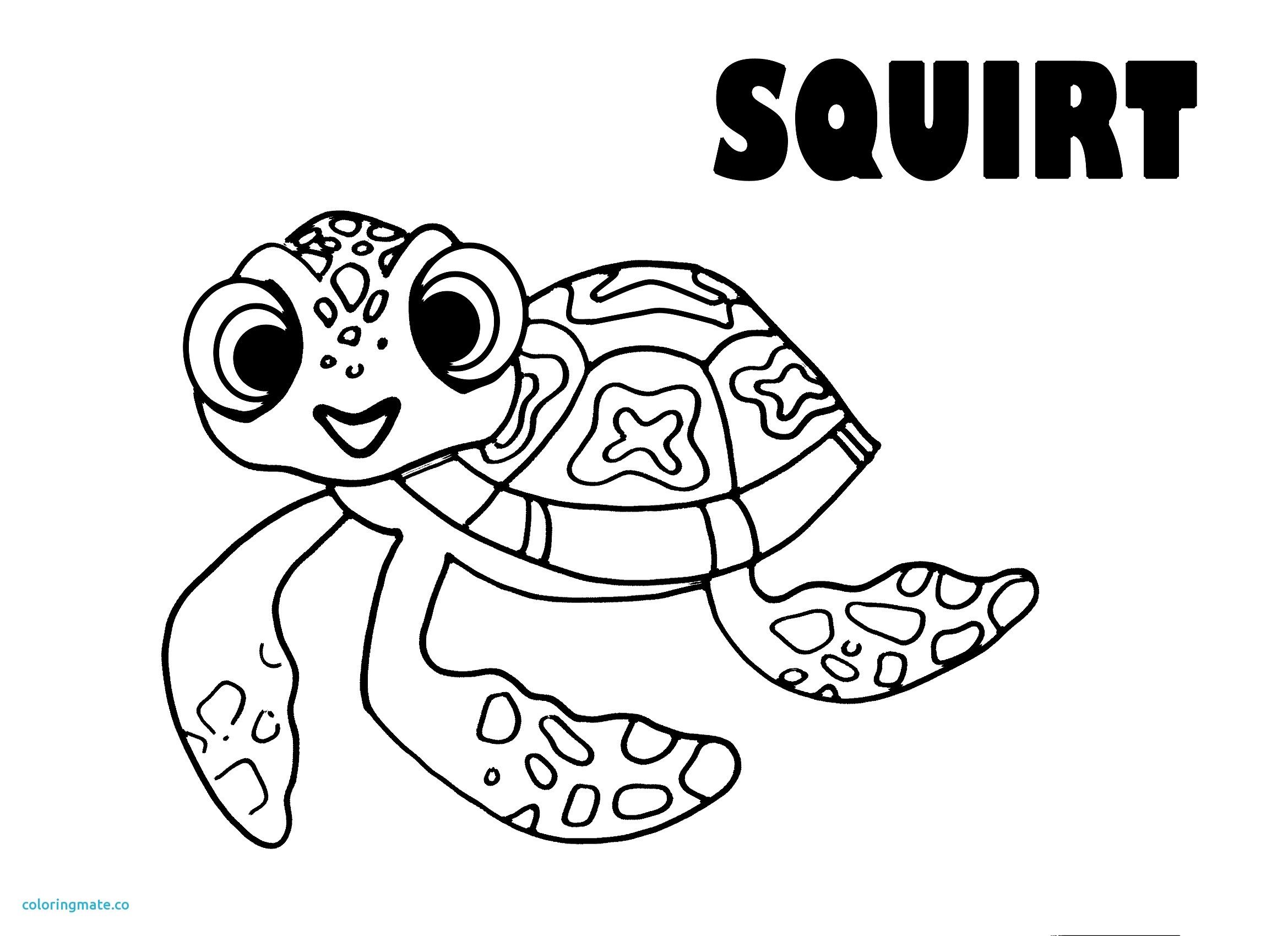 Nemo Fish Coloring Pages 2339x1700 Nemo Fish Coloring Pages