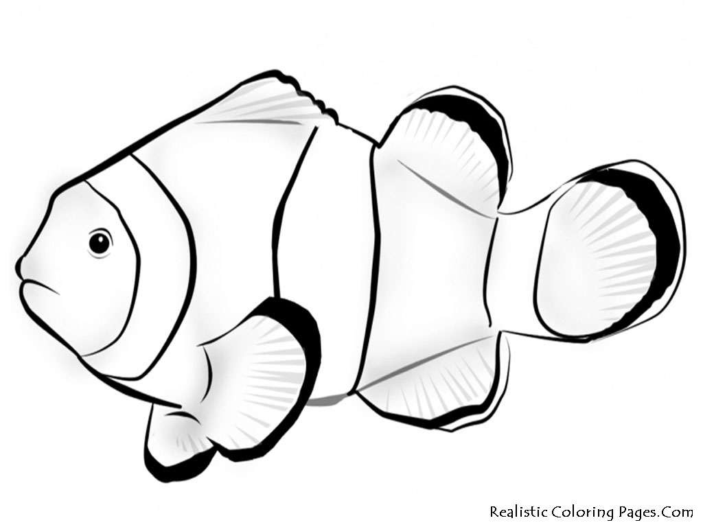 Clown Fish Coloring Page Newyork Rp Clown Fish Coloring Pages 1024x768 Clown Fish Coloring Page Newyork Rp Clown Fish Coloring Pages