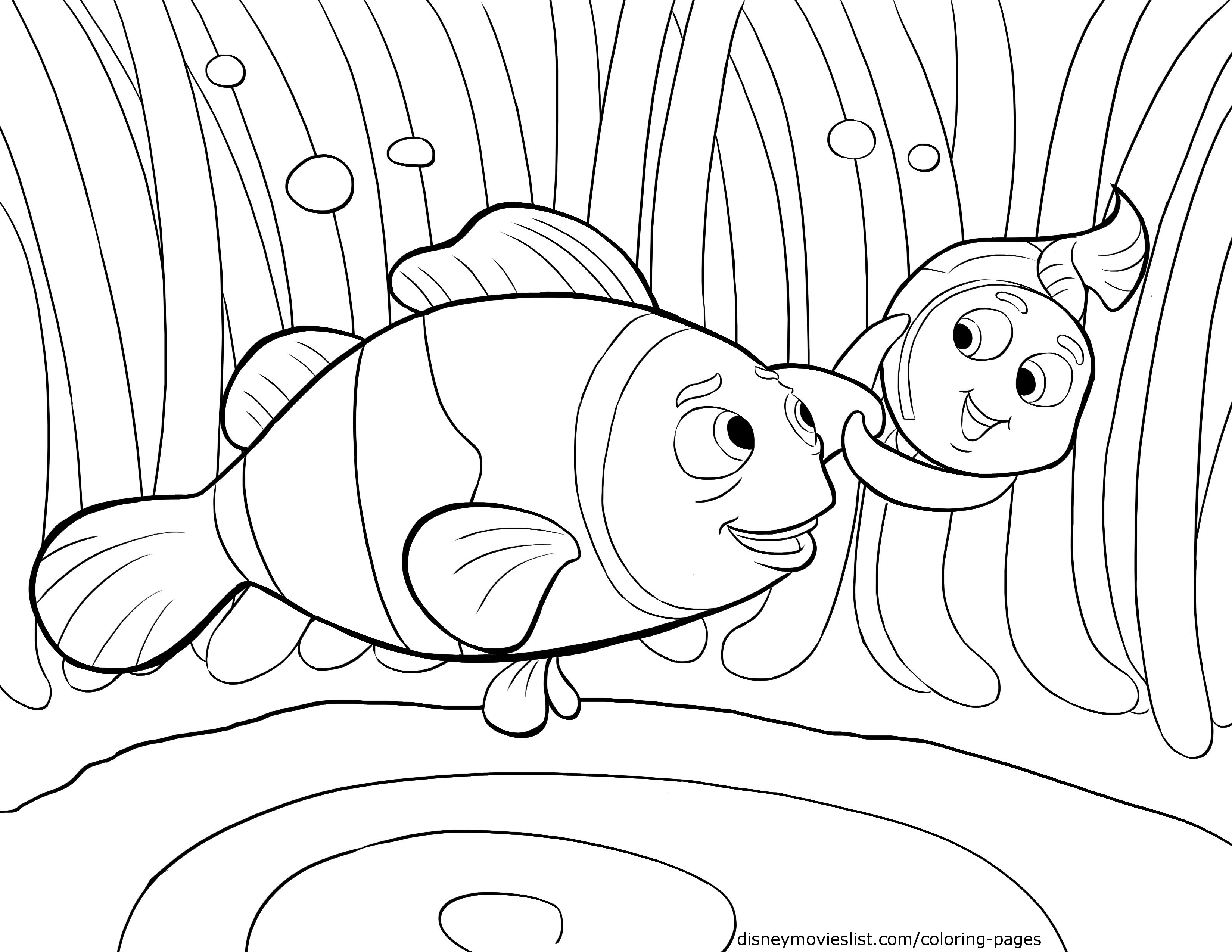 3300x2550 Simplistic Nemo Coloring Pages Online Gallery Of Finding Has