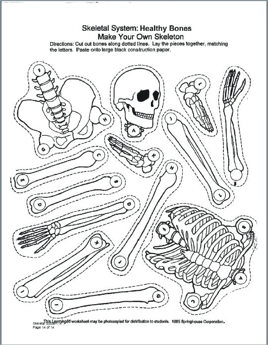 Skeletal System Coloring Pages Nervous System Coloring Pages 540x694 Skeletal System Coloring Pages Nervous System Coloring Pages