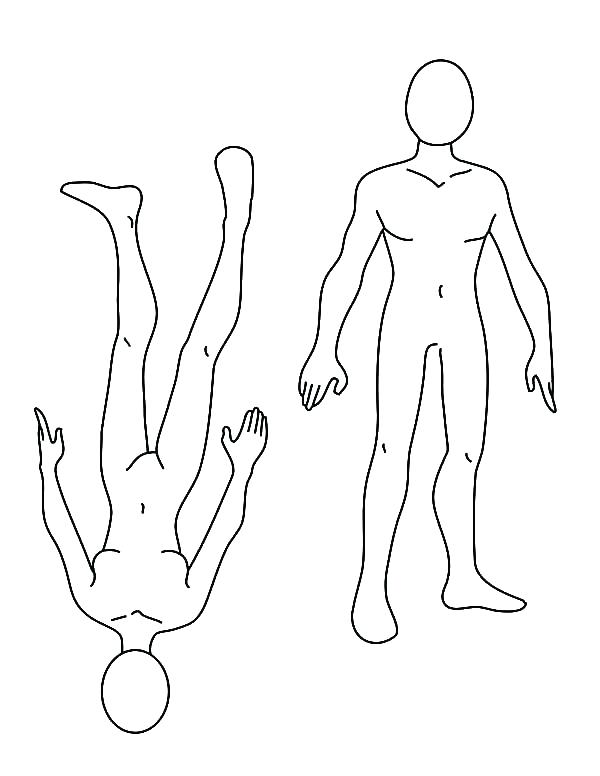 Body Systems Coloring Pages Nervous System Coloring Worksheet 600x776 Body Systems Coloring Pages Nervous System Coloring Worksheet