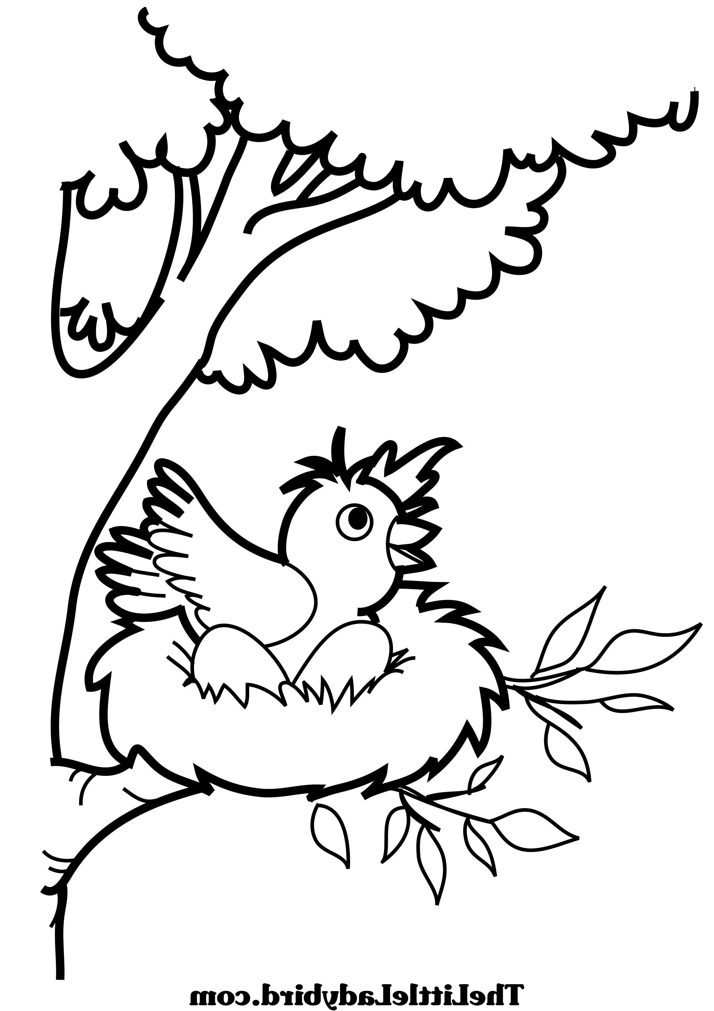 Nest Coloring Page