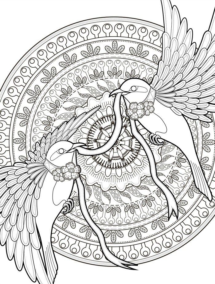Adult Coloring Pages With Birds Free Downloadable Web 700x924 Adult Coloring Pages With Birds Free Downloadable Web
