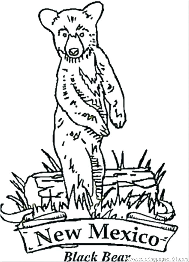 650x902 New Mexico Coloring Pages New Coloring Pages New Bear Coloring