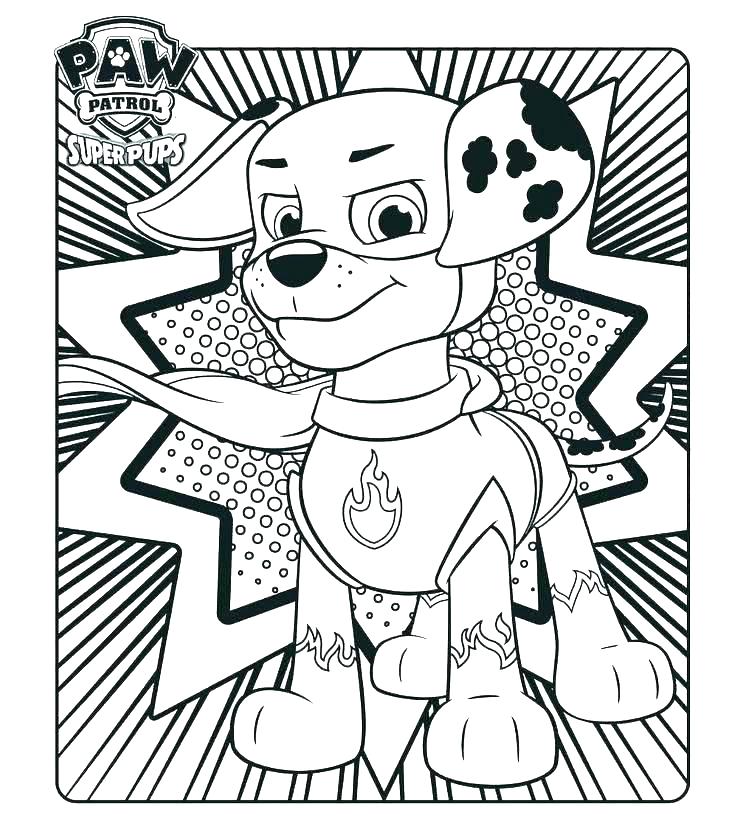 Paw Patrol Coloring Pages Able Paw Patrol Coloring Pages Ryder 736x833 Paw Patrol Coloring Pages Able Paw Patrol Coloring Pages Ryder