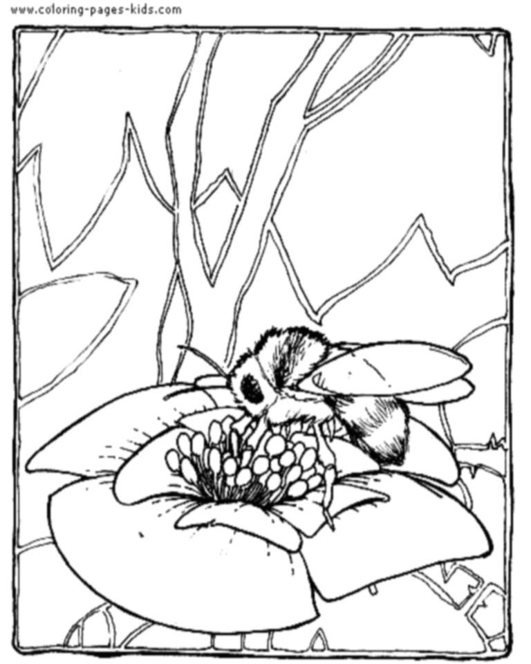 Bee Coloring Pages ~ Bees On The Net 768x960 Bee Coloring Pages ~ Bees On The Net