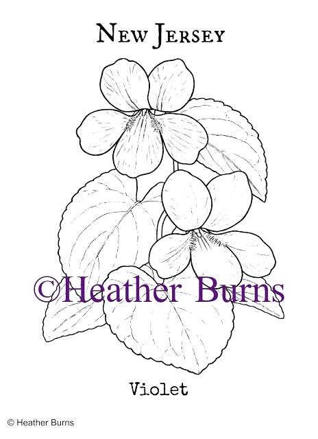Violet Flower Coloring Page New Jersey State Flower Violet Purple 464x640 Violet Flower Coloring Page New Jersey State Flower Violet Purple