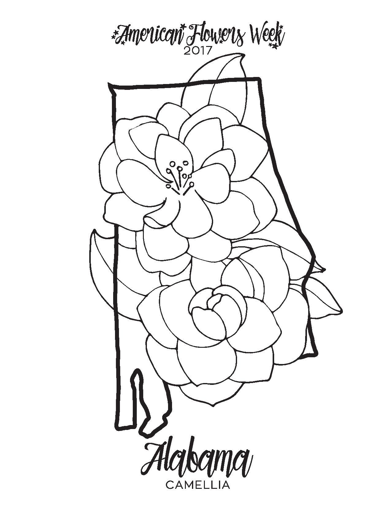 Awesome State U Coloring American Week Of Nj Flower Page Trend 1275x1650 Awesome State U Coloring American Week Of Nj Flower Page Trend