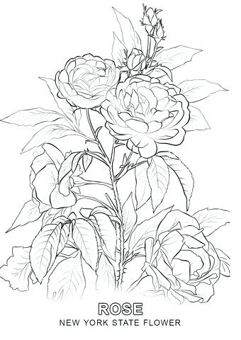 New York Coloring Pages New City Coloring Pages New City Coloring 340x480 New York Coloring Pages New City Coloring Pages New City Coloring