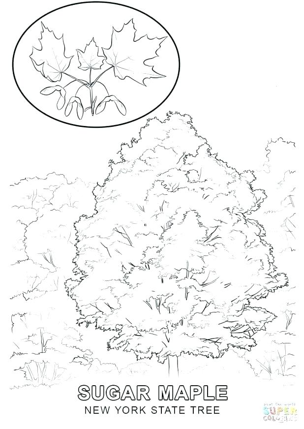 618x872 New York Flag Coloring Page