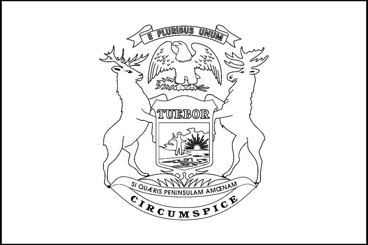 1439x960 37 Michigan Coloring Pages, Michigan State Bird Coloring Page