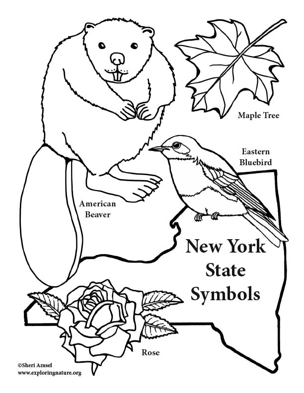 612x792 New York State Symbols Coloring Page
