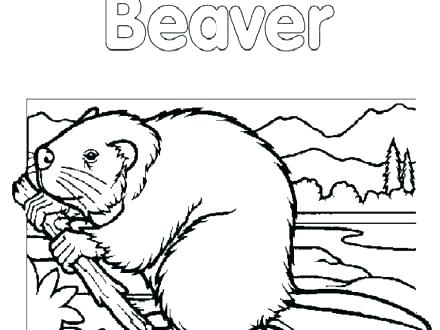 440x330 New York State Tree Coloring Page Pages 7 Pics Of Logo City Flower