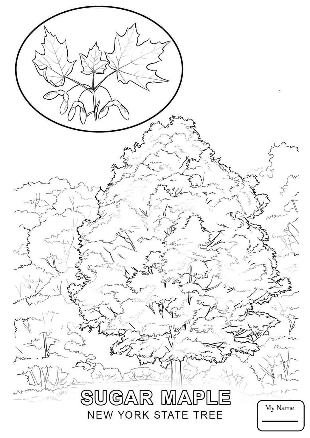 New York State Flag Coloring Page 1040x1469 New York State Flag Coloring Page