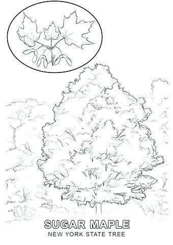 New York State Flag Coloring Page New State Flag Seal Coloring 340x480 New York State Flag Coloring Page New State Flag Seal Coloring