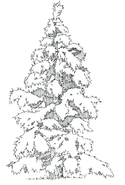 New York State Flag Coloring Page Shippa.co 506x750 New York State Flag Coloring Page Shippa.co