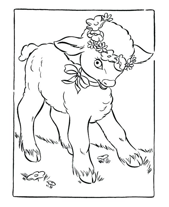 New Zealand Coloring Pages Lamb Coloring Page New New Zealand 564x690 New Zealand Coloring Pages Lamb Coloring Page New New Zealand