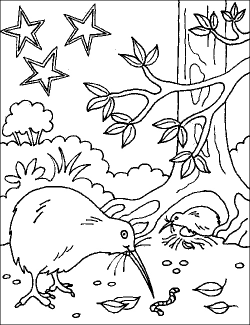 Aotearoa Nz Map Colouring Page 500x650 Aotearoa Nz Map Colouring Page